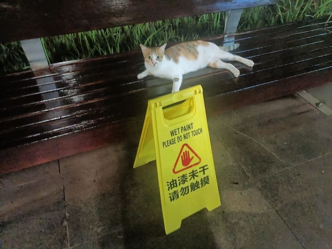 学外语很重要 