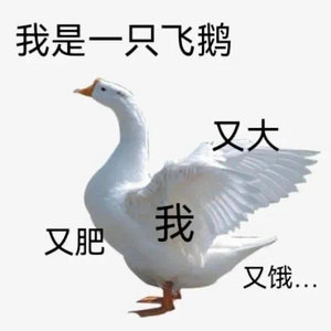 鹅腿阿姨说希望给同学们道个歉学生早就发现过问题，但是觉得味道还行，就没闹大，结果