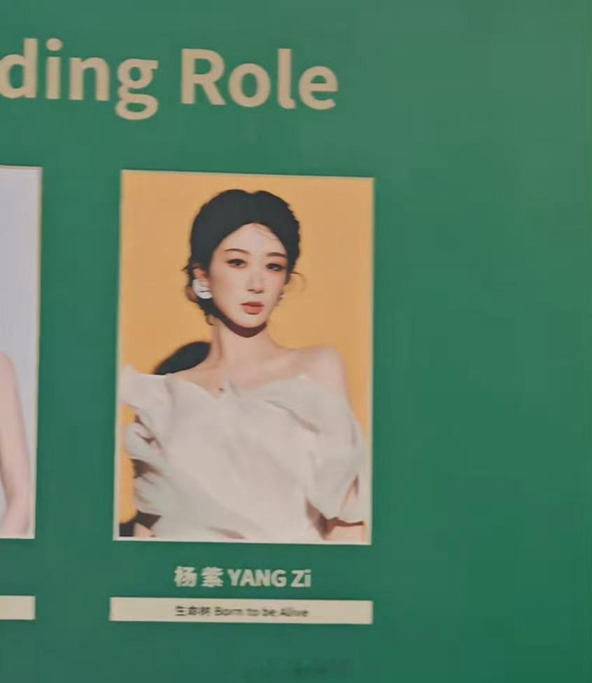 杨紫白玉兰最佳女主提名公式照给我们的最佳女主角杨紫接好运🙏 