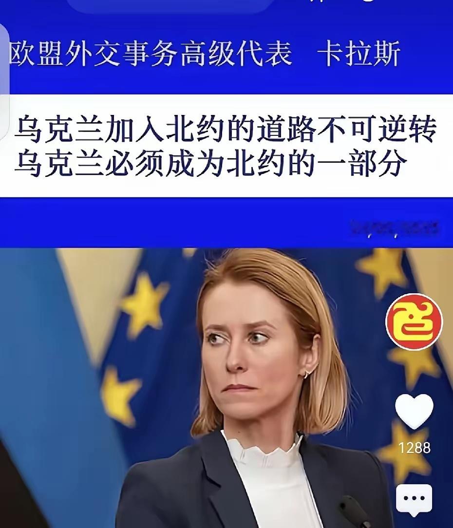 都这个时候了，欧盟外交事务高级代表卡拉斯的表态依然斩钉截铁，这就是乌克兰必须加入