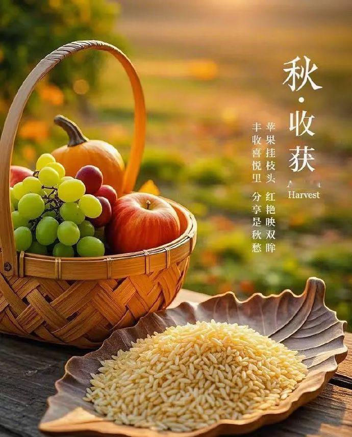 秋收谷万仓

2. 夏耘汗千滴

3. 冬藏粮满囤

4. 年丰福满门

5. 