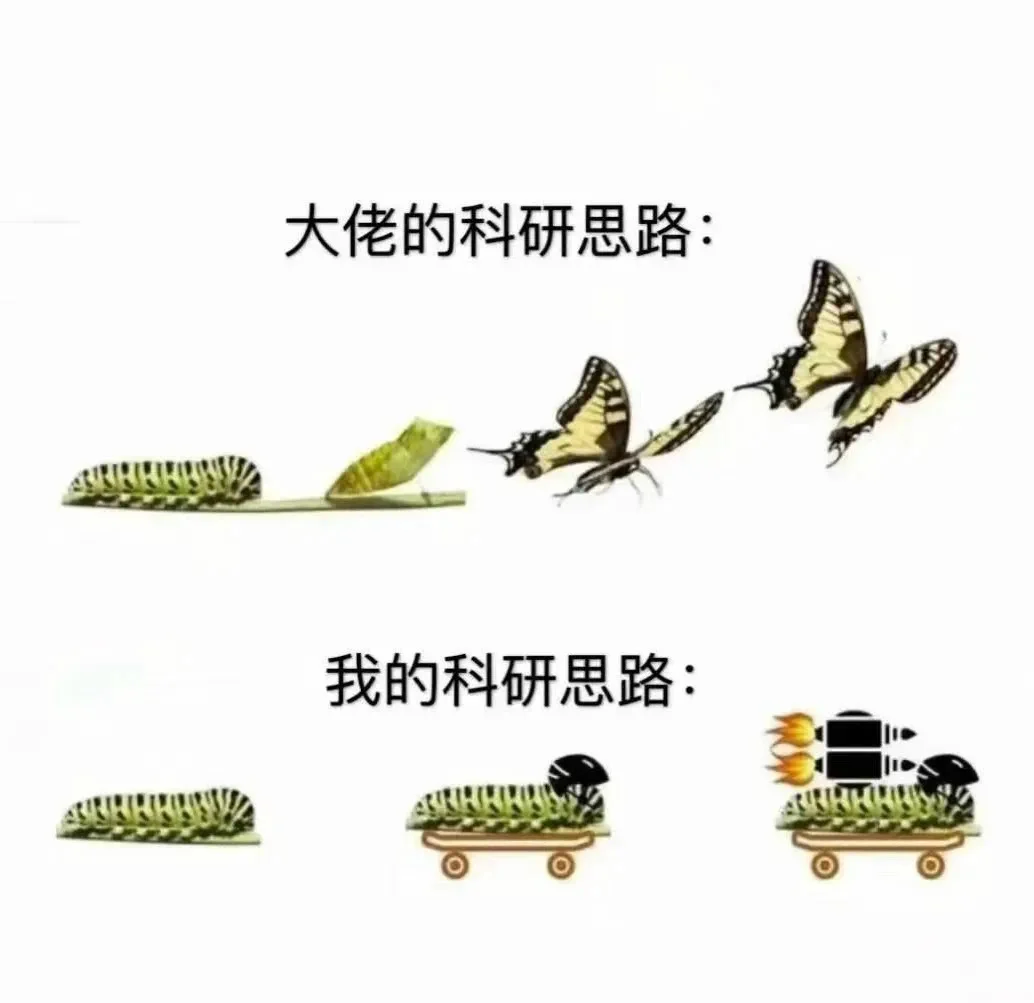 当代研究生的科研状态