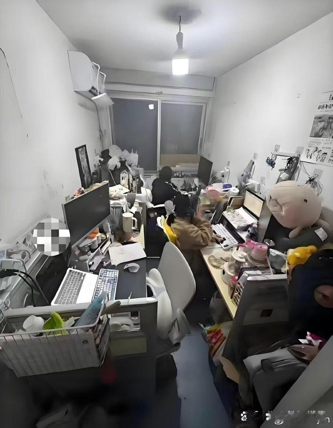 这环境，待久了能不生情？ ​​​