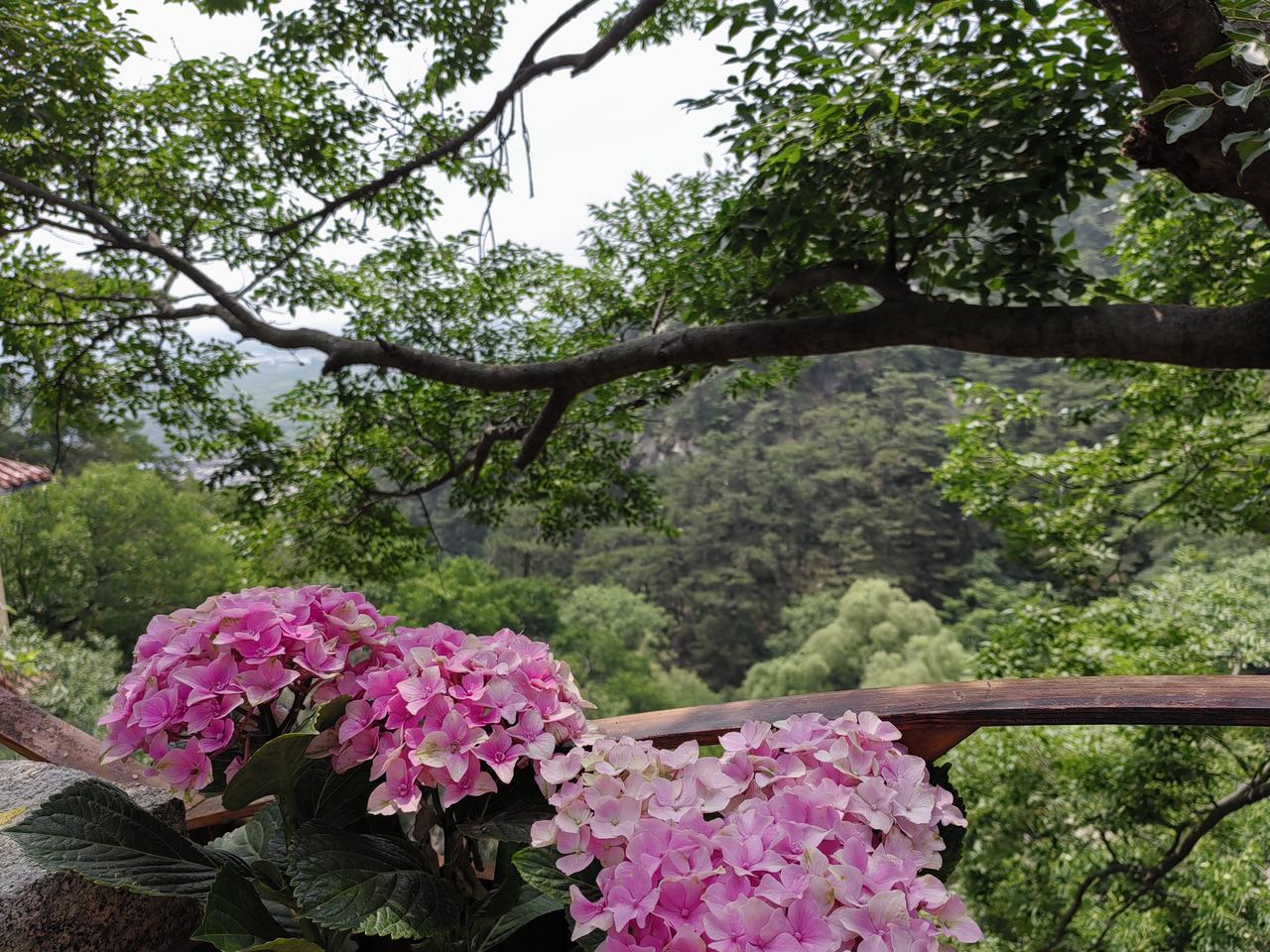 又到登山时，莫忘开心刻。
时时刻刻都要保持好心情啊！