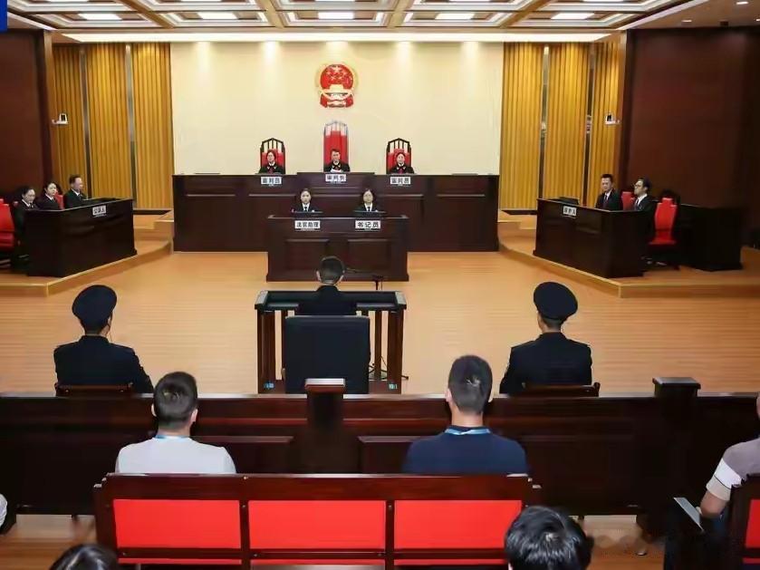 大快人心！受贿1.44亿余元， 重庆市政协原党组成员、副主席段成刚一审被判无期。