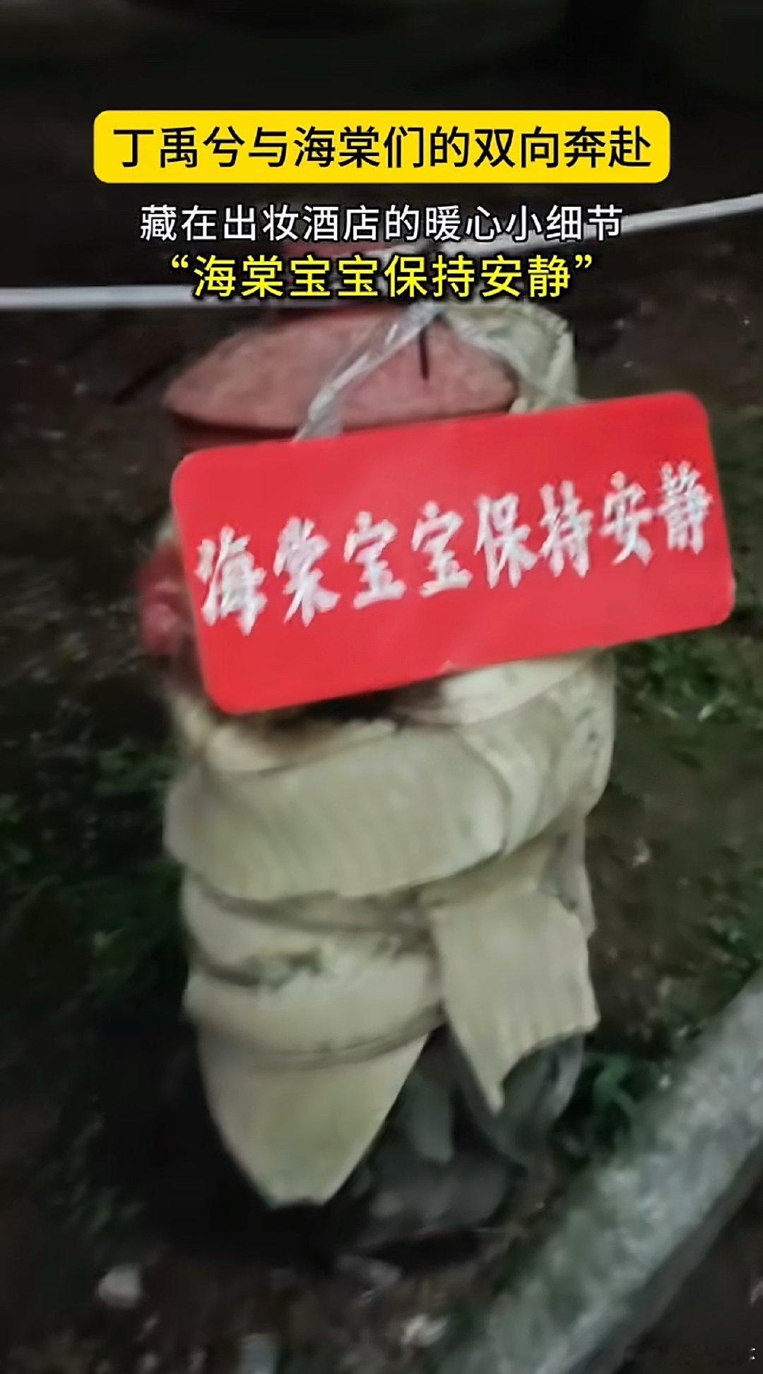 粉随蒸煮具象化了 