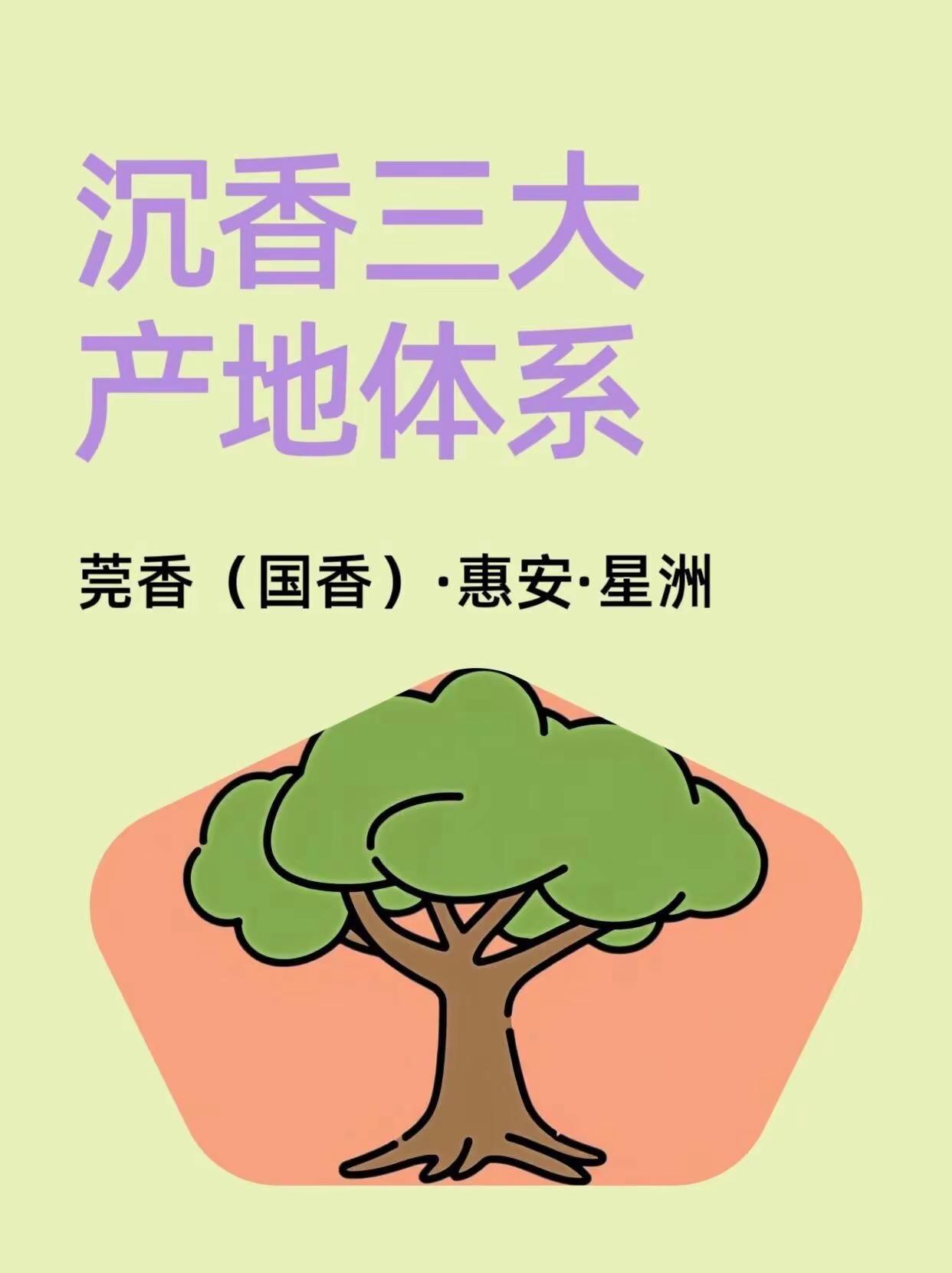 沉香三大产地体系。分享 棋楠沉香 沉香知识科普 珍稀的奇楠香 沉香知识