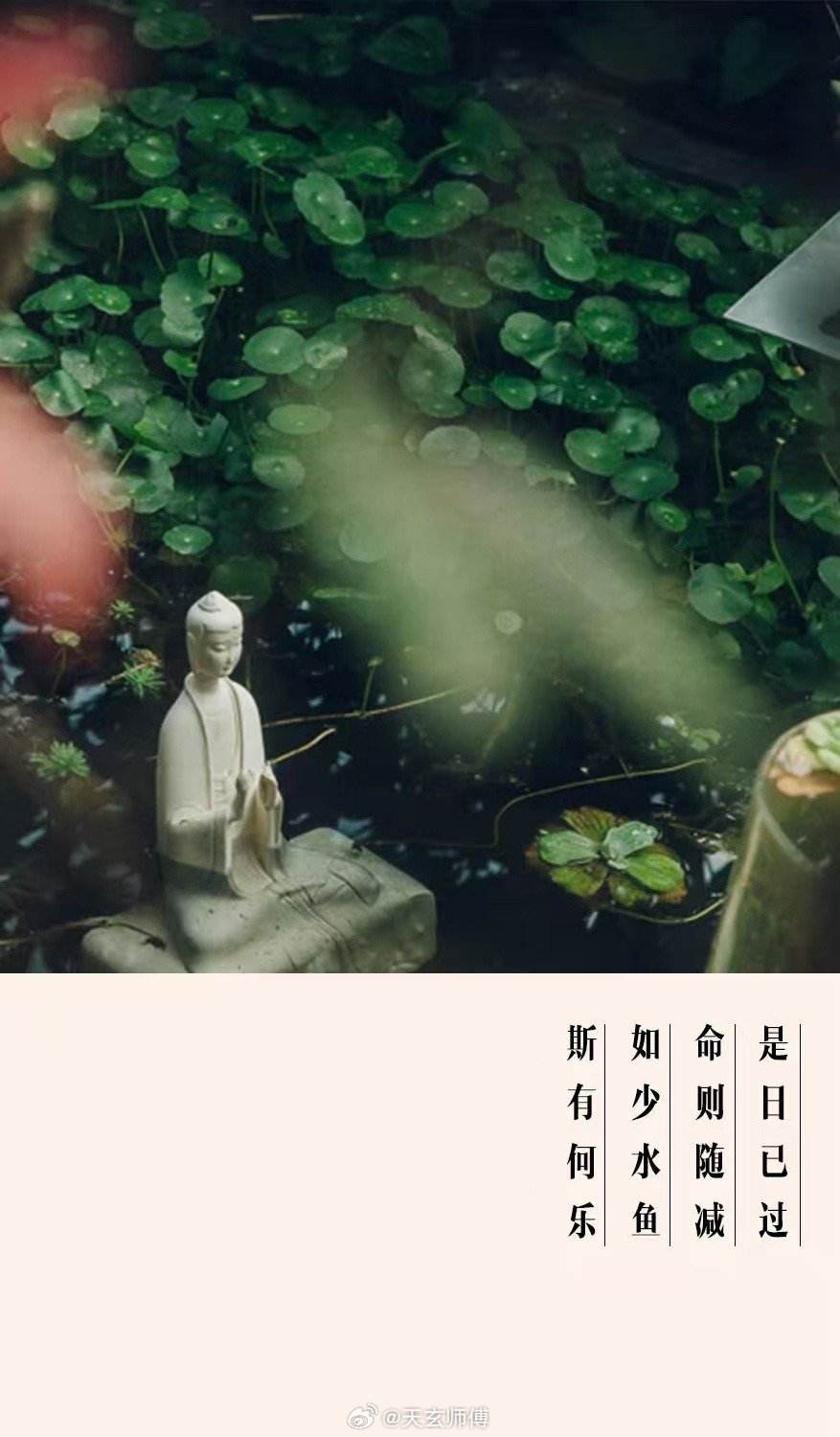 情路迷思，心伤自悟在情感的江湖里，我见过太多痴男怨女，他们在爱里沉浮，为情所困。