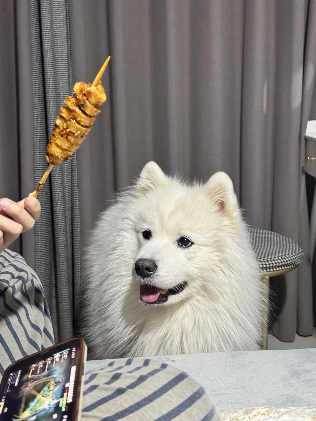 人！窝可以次一口吗