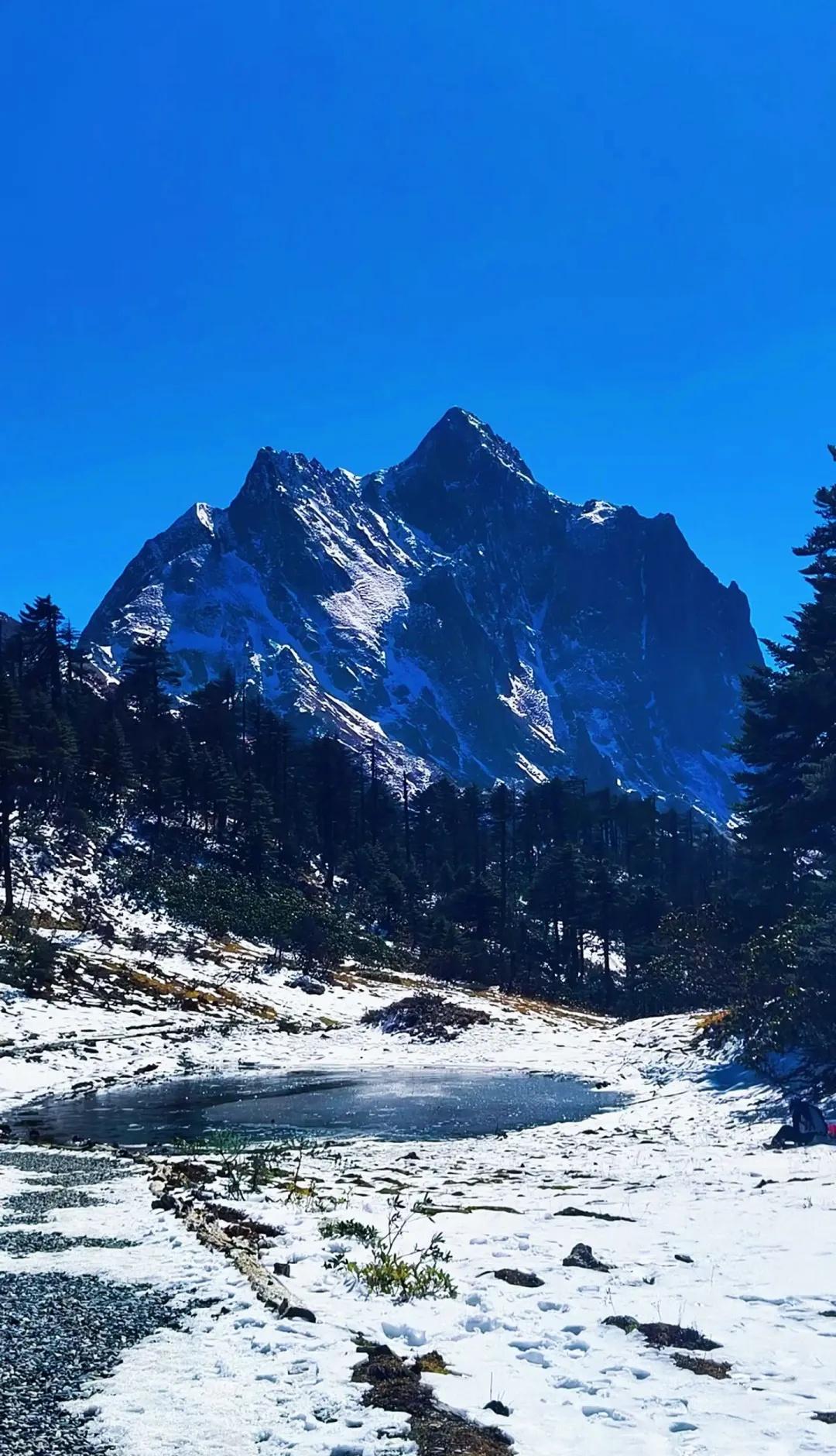 12月10号孔雀山+梅里雪山一日游还有位置
以下是一日游的行程安排推荐：
凌晨出