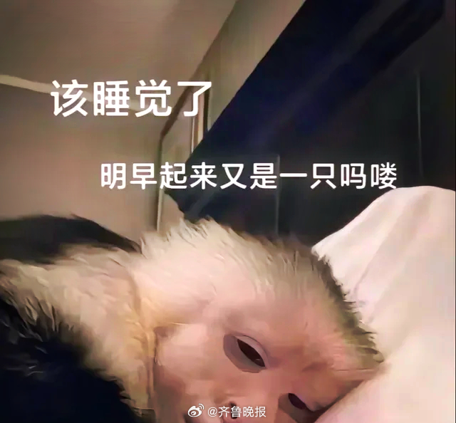 夜深了，随口问一句，你明天几点上班？