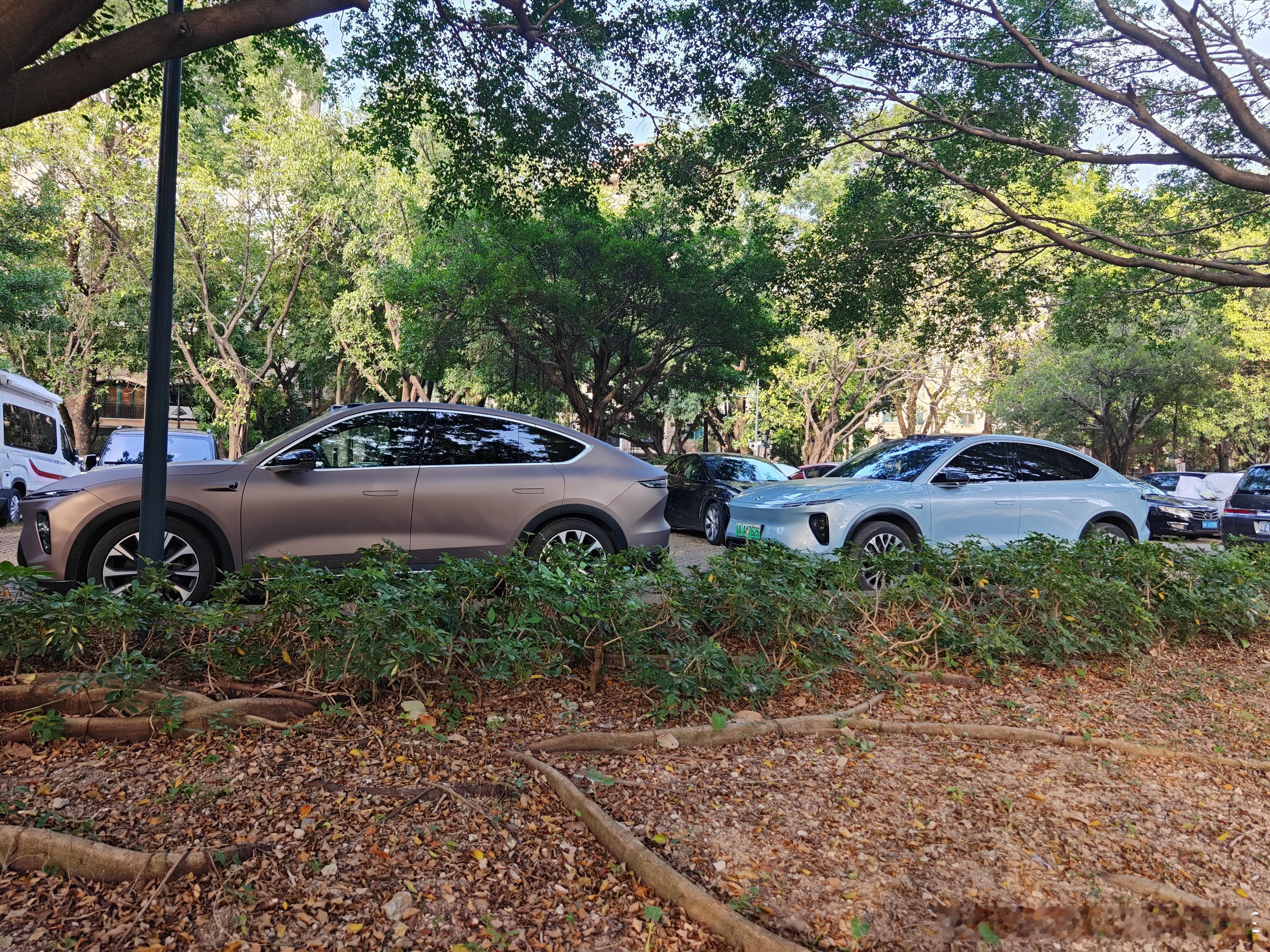 能分得清EC6和EC7吗？ 