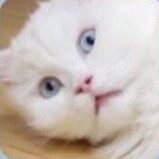 皮滚读读娱乐