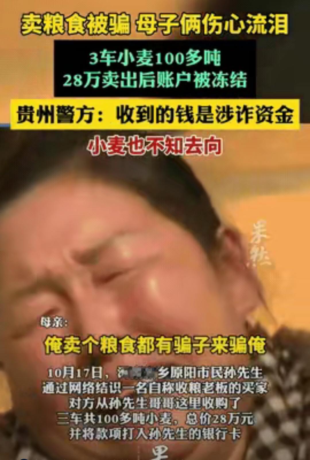 卖粮钱竟成“烫手山芋”，农民防骗刻不容缓！

河南新乡一对母子卖小麦，3车100