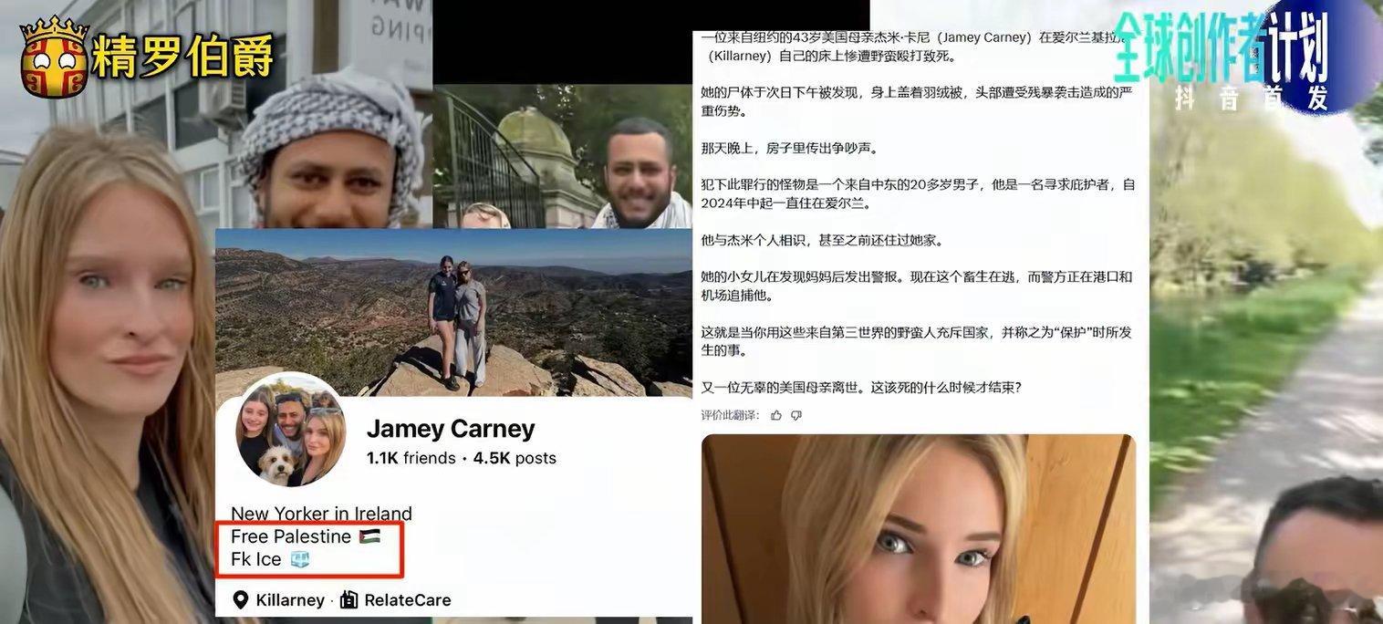 爱尔兰支持非法移民的43岁单亲妈妈兼自由派社会活动家，被她20多岁的中东移民穆斯