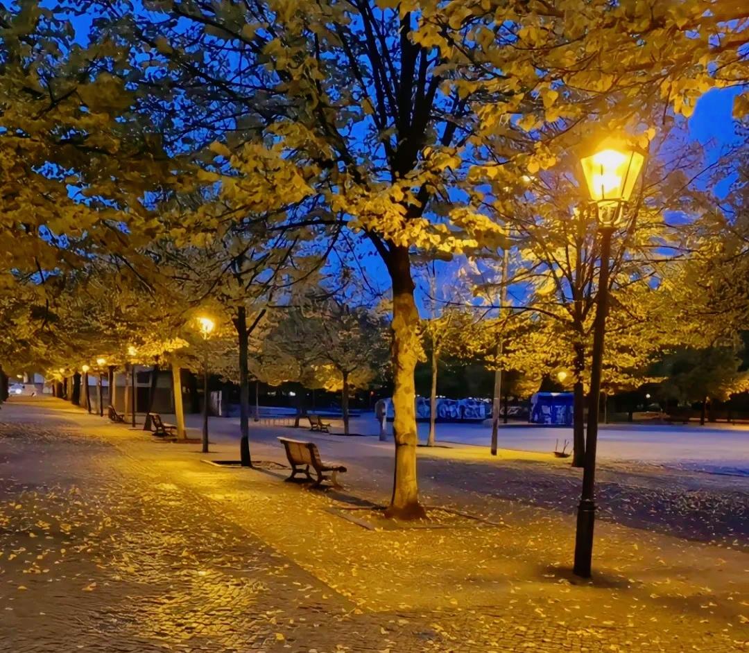 刘震云：）
敢于明牌
 大大方方做自己
 不需要遮遮 掩掩 
成年人
敢筛选
不