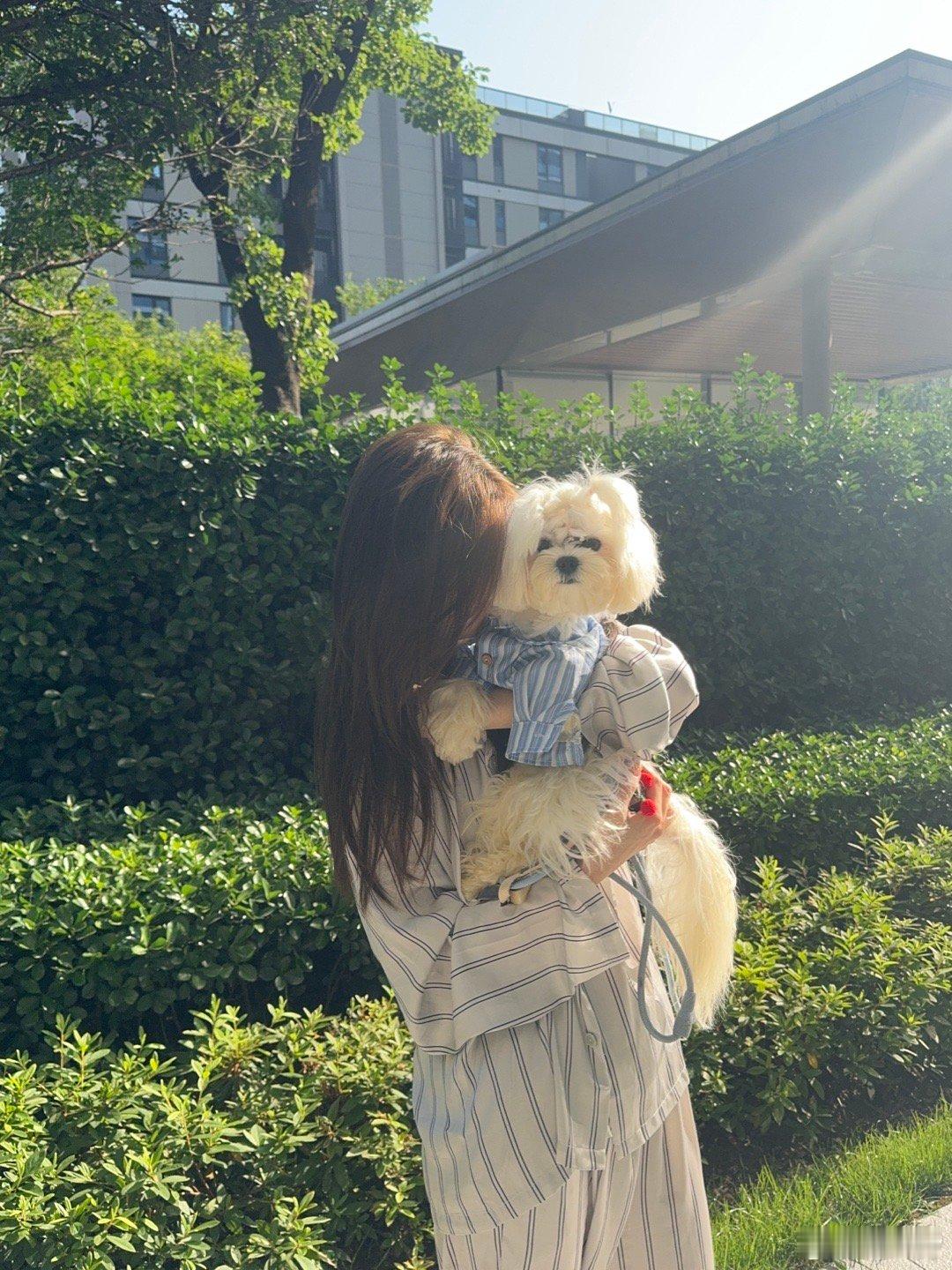带儿子晒太阳遛弯咯小幸福(◐‿◑)﻿ ​​​