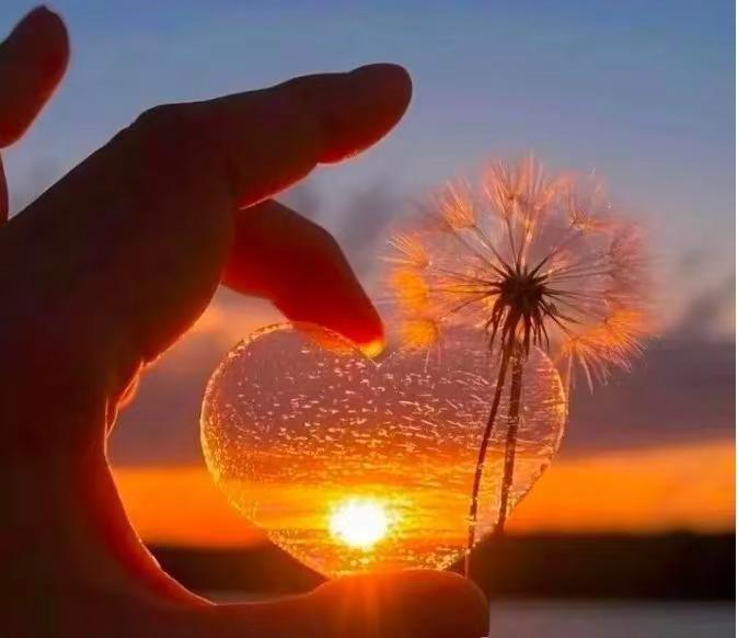 丙午马年春节就这样在波澜不惊中悄然落幕，一切又回归平常生活，年味渐远，初心依旧，