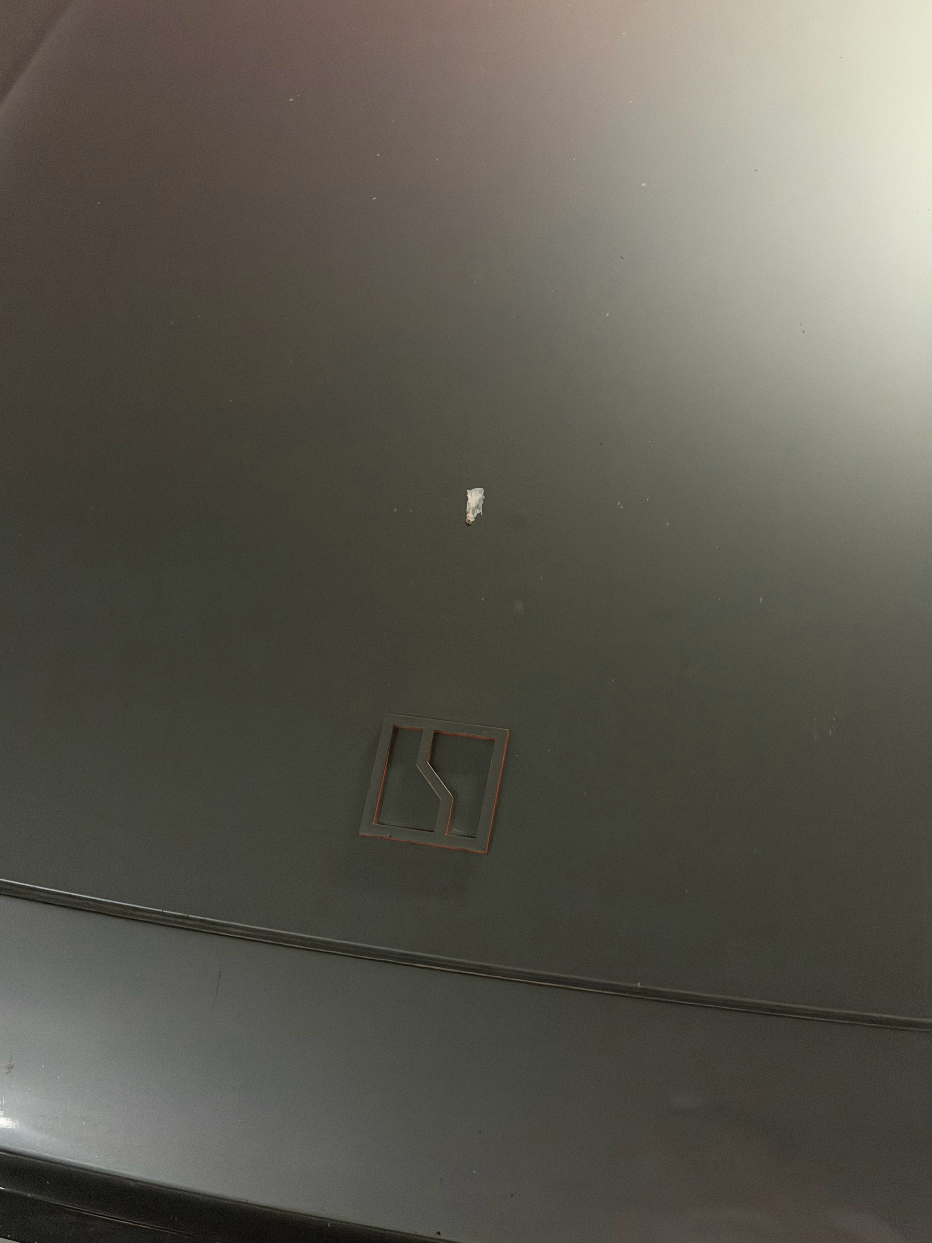 肯定是友商养的鸟，竟然在极氪头顶拉屎 西安