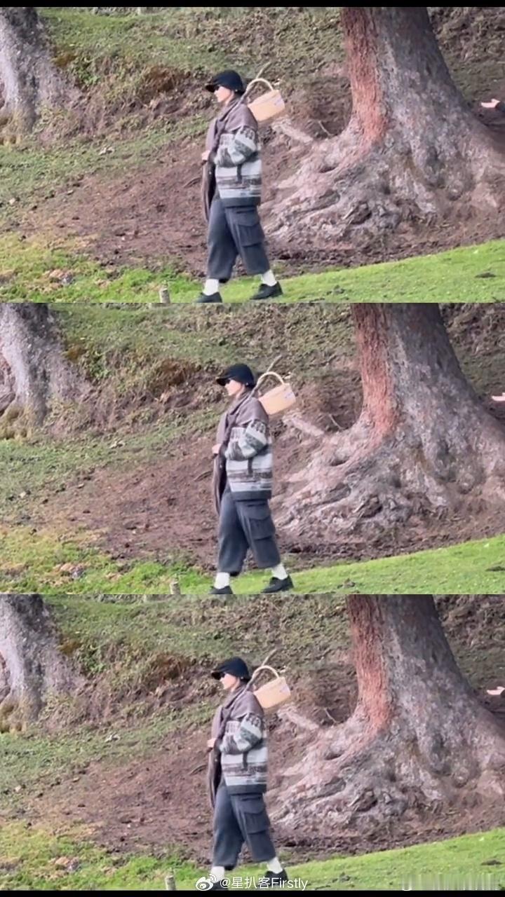 原来李宇春也喜欢捡棍子 李宇春综艺路透就这样拿着木棍挑着篮子悠闲走路，上车都舍不