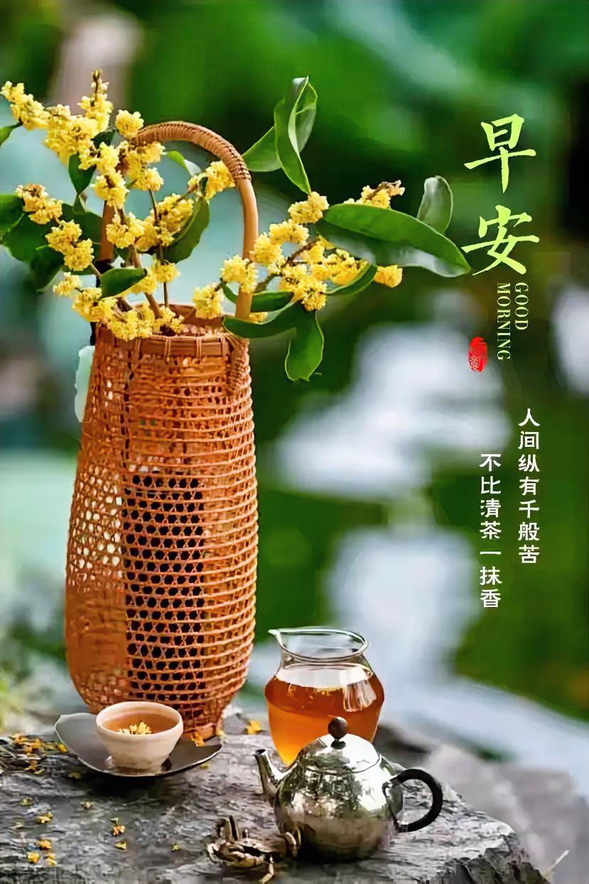 人间纵有千般苦，不如清茶一抹香。早安，愿花香伴茶香，治愈你的每一天。
今日打卡早