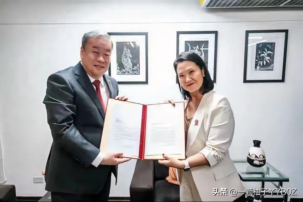 秘鲁大选7月3日正式敲定结果，藤森庆子第四次参选才以微弱优势险胜，要等到28日才