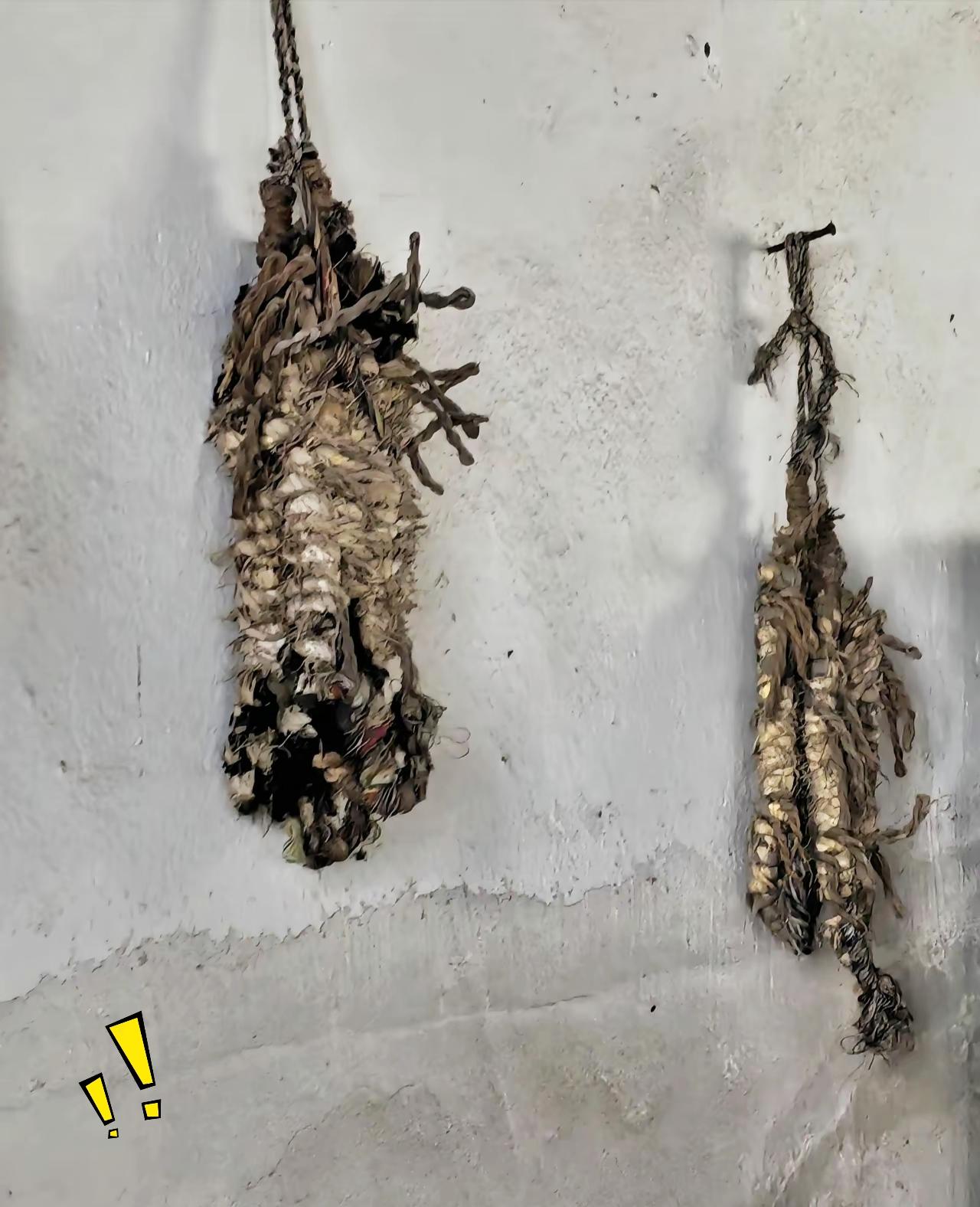 我敢说99%的年轻人，这辈子都没见过墙上挂的这种老物件。
这是过去农村过日子常用