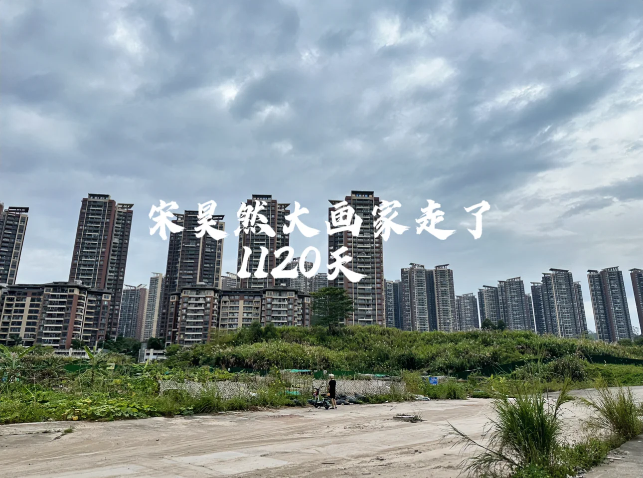 宋昊然大画家走了1120天