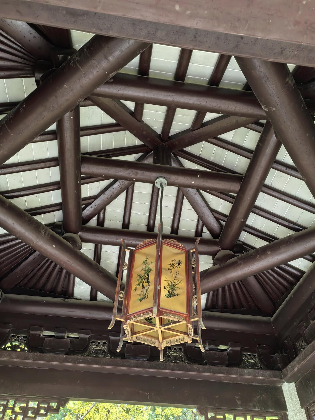 分享一下你随手拍下的照片