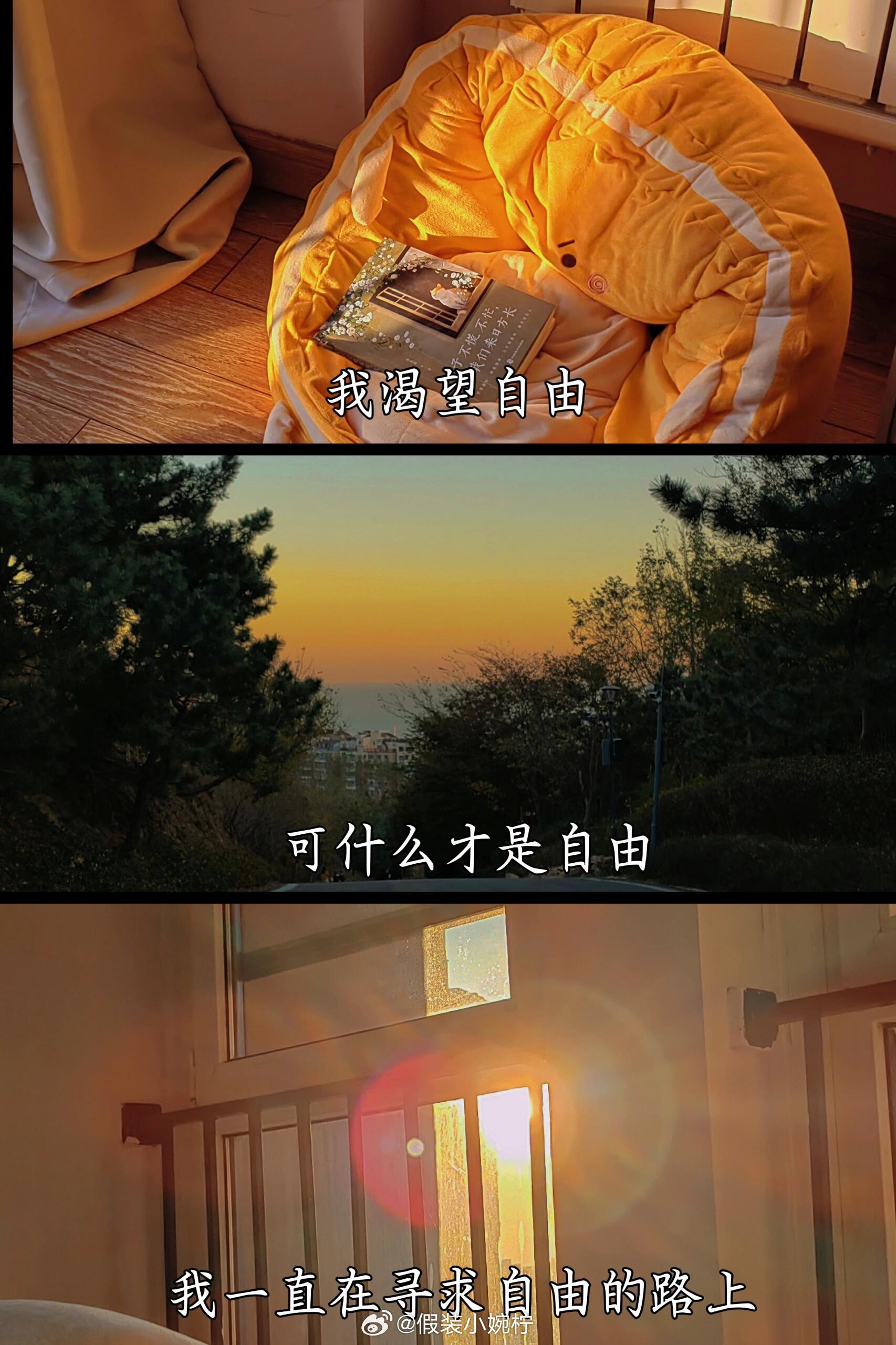 一代人有一代人对自由的理解爱自己才是终生浪漫的开始，支持每个人在不同阶段寻求不同