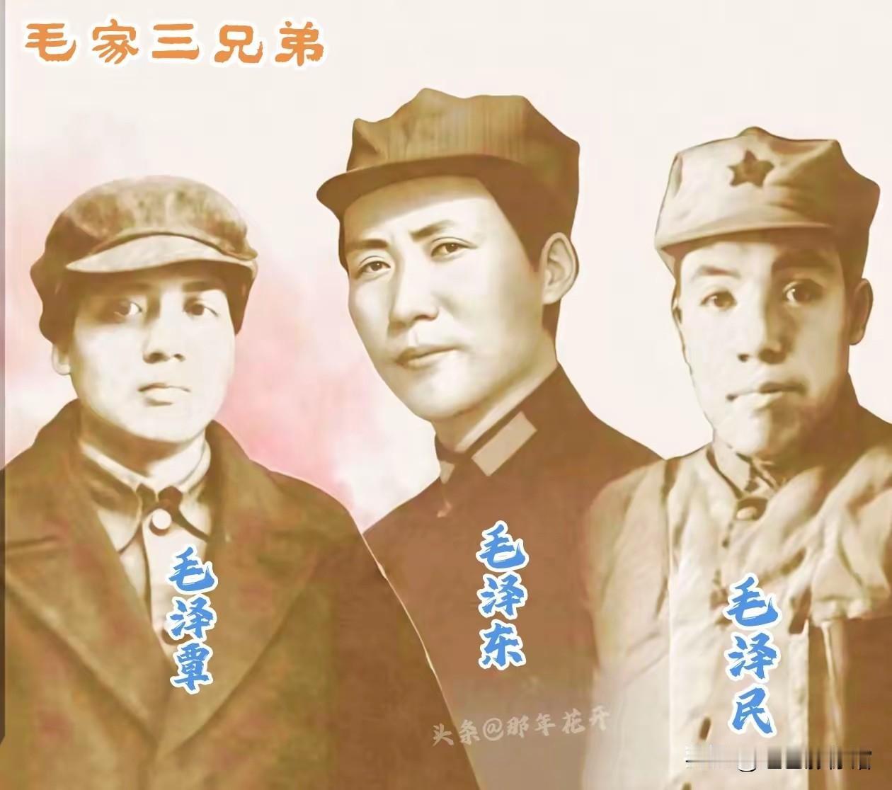 这是毛家三兄弟：毛泽东、毛泽民、毛泽覃。一门三英烈，兄弟同心奔赴救国之路。战火之