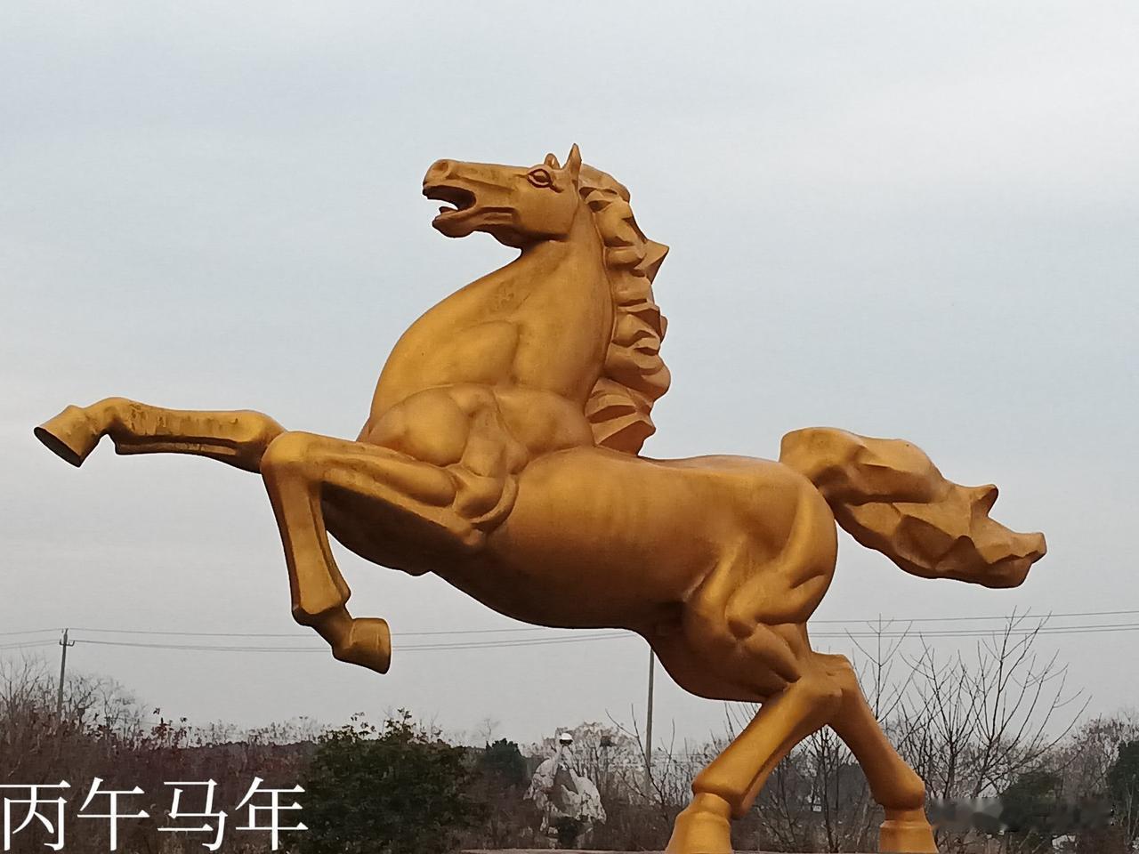 丙午马年新寄语

马到成功的你，又该马不停蹄的继续努力，发现蛛丝马迹，就要招兵买