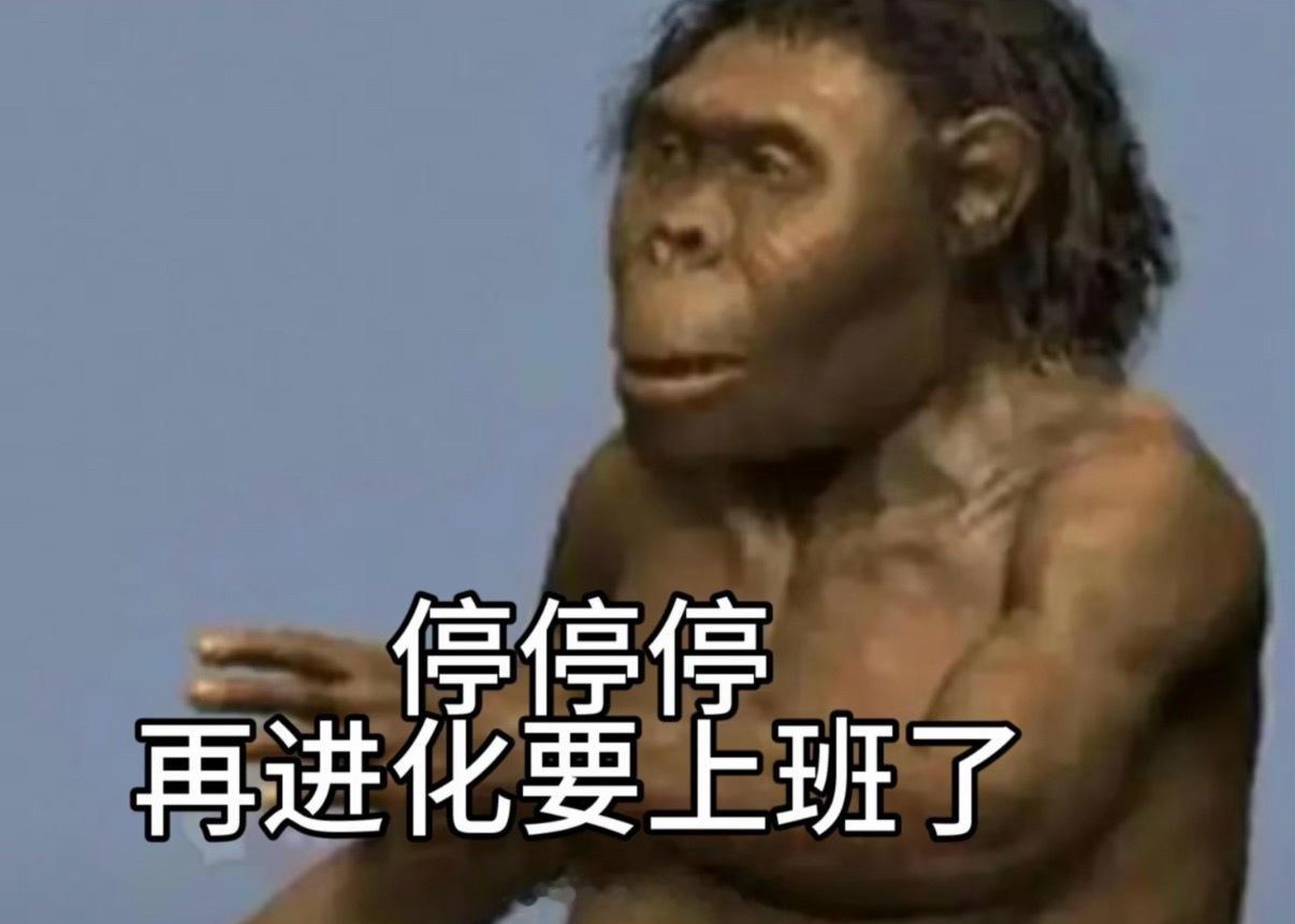 吃海鲜吃到痛风的猴子人与动物的区别就是会不会使用工具，他们居然会耶已经进入旧石器