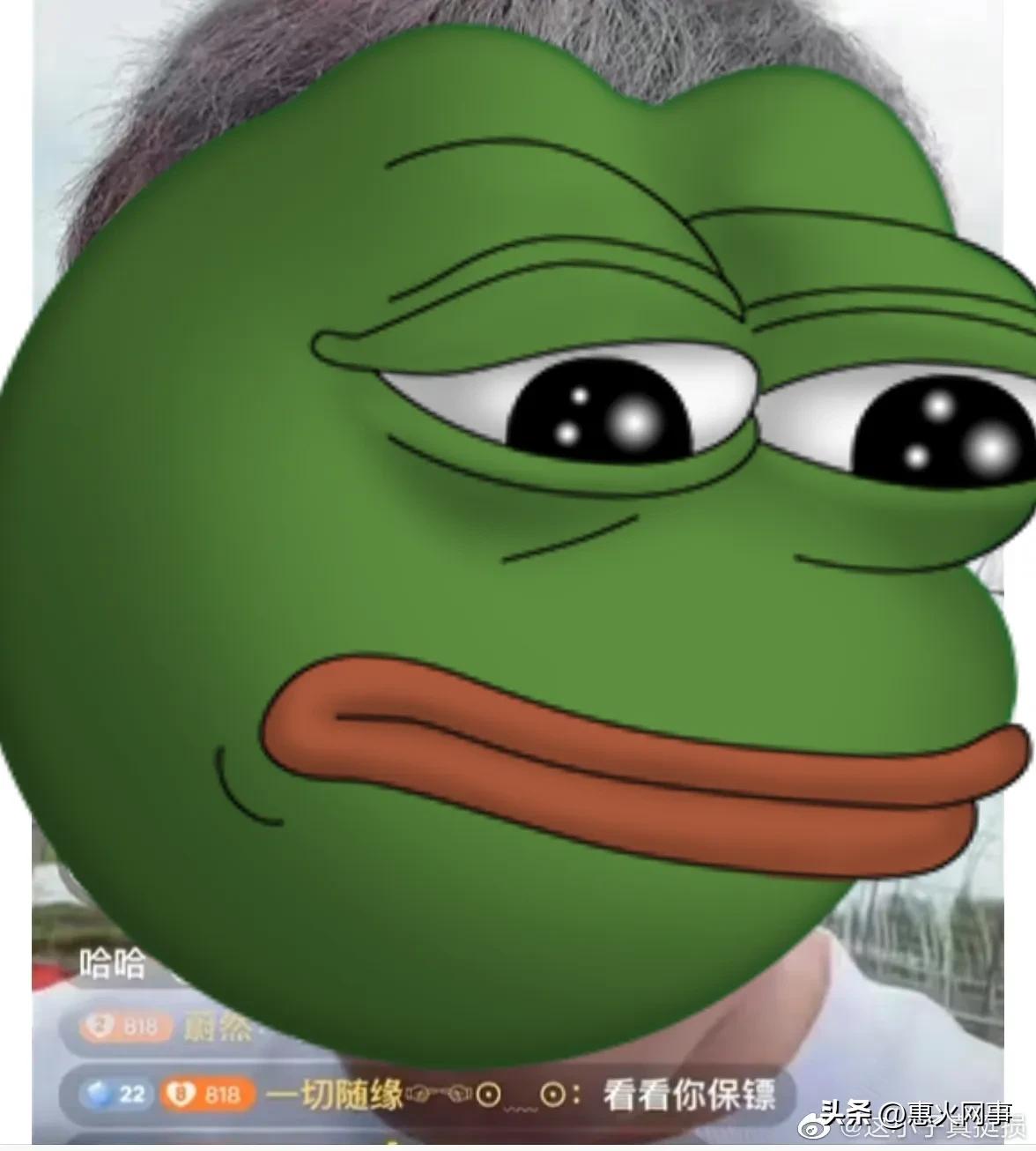 散打哥：我问你如果说让你成为两个人的话，一个是成为老葛，一个个成为辛巴，你你想成