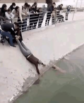 一条流浪狗不小心掉进了冰凉的河水里，那河堤全是水泥做的，又滑又高，小狗自己根本上