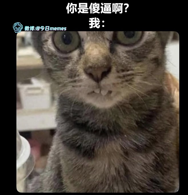 咋。。。（9gag）今日meme 今日memes