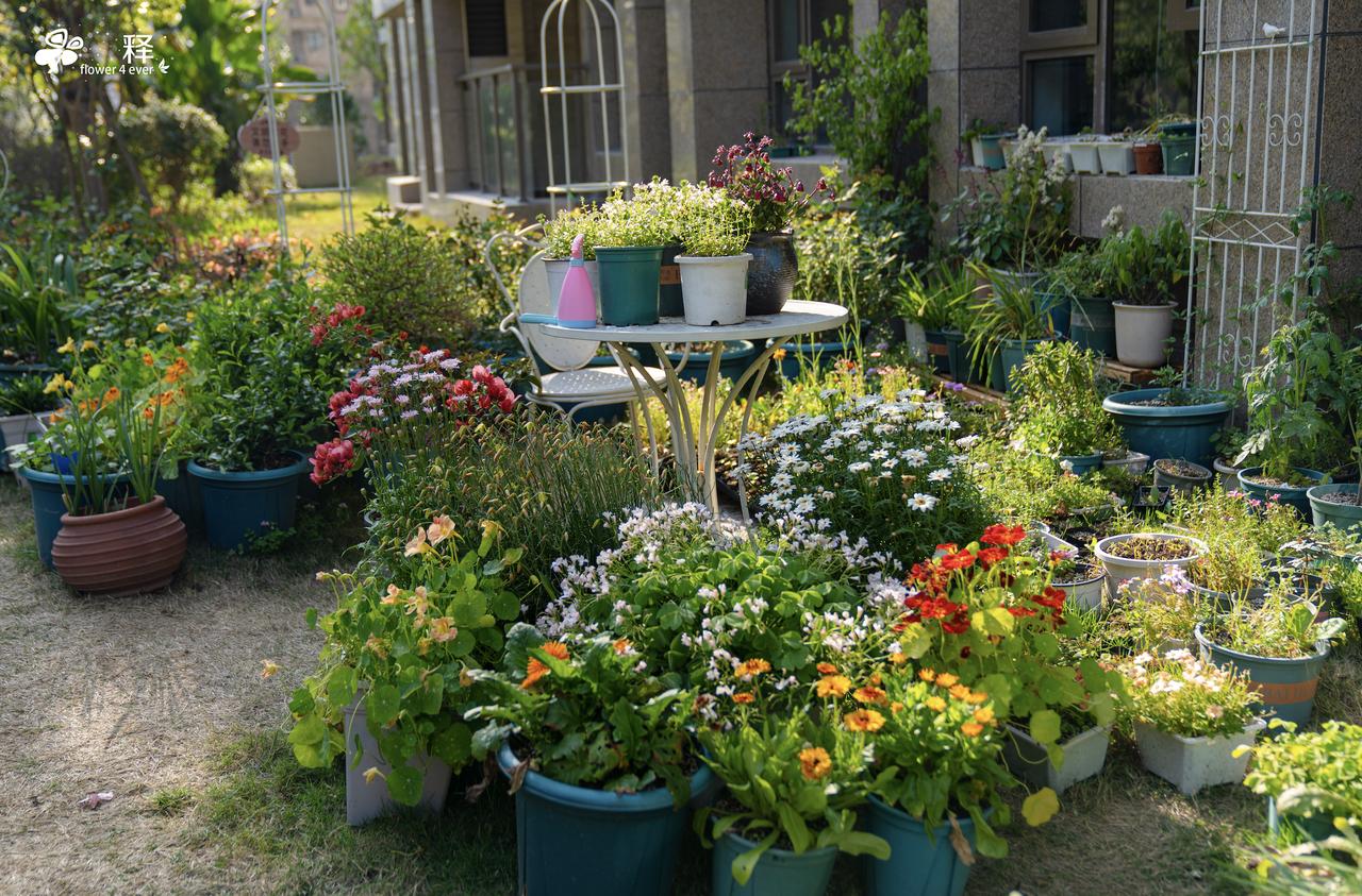 电商带货内幕，全是资本操控
你见到的爆款肥料，都是流量和钱砸出来了的，最高佣金可