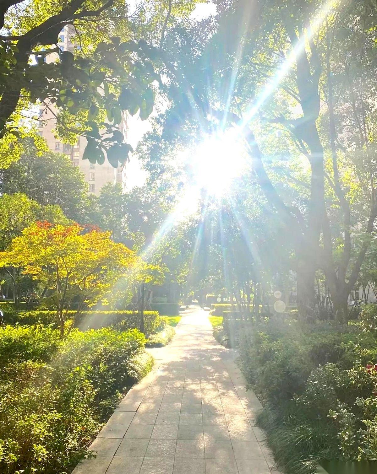 命差点没搭在两百米外的快递柜上。
38度。
太阳穴像被人拿锥子狂凿，眼前一阵阵发