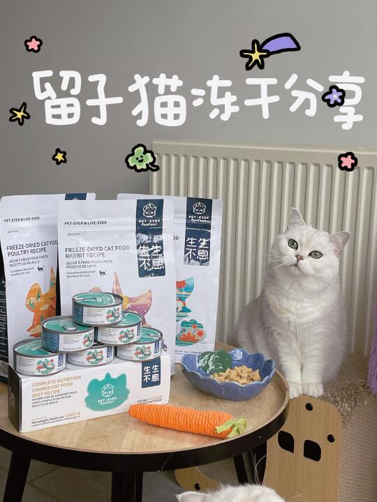 📦留子猫的口福！绵绵和糯糯美味上岸！