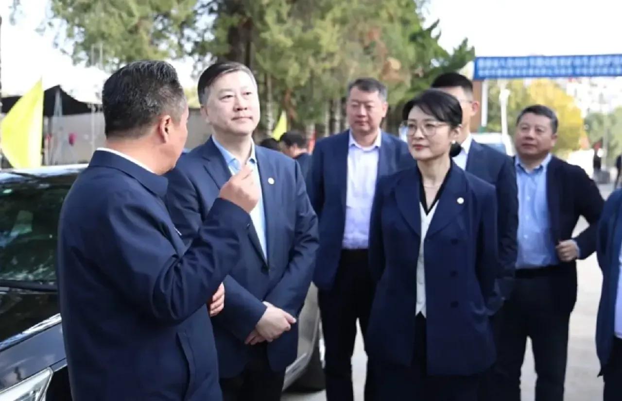 穿上正装的周涛不仅漂亮，气质太好了！周涛最近回到了自己的老家安徽，这次她可是衣锦