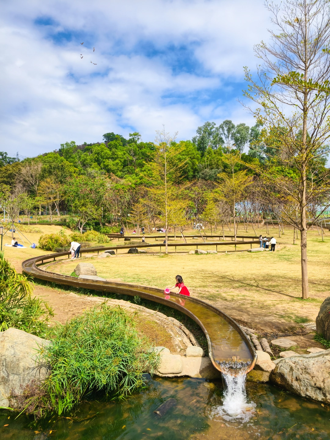 深圳公园真卷❗️能玩水看菜园的遛娃宝藏地