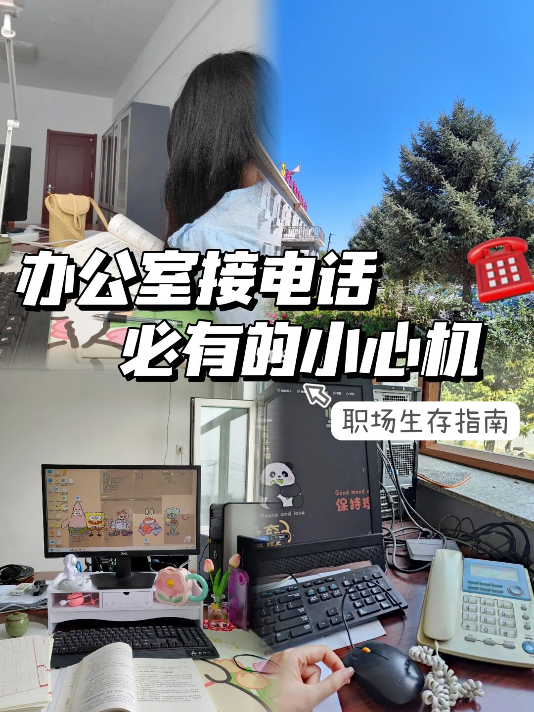 体制内|接电话常见4大场景，话术全搞定☎️