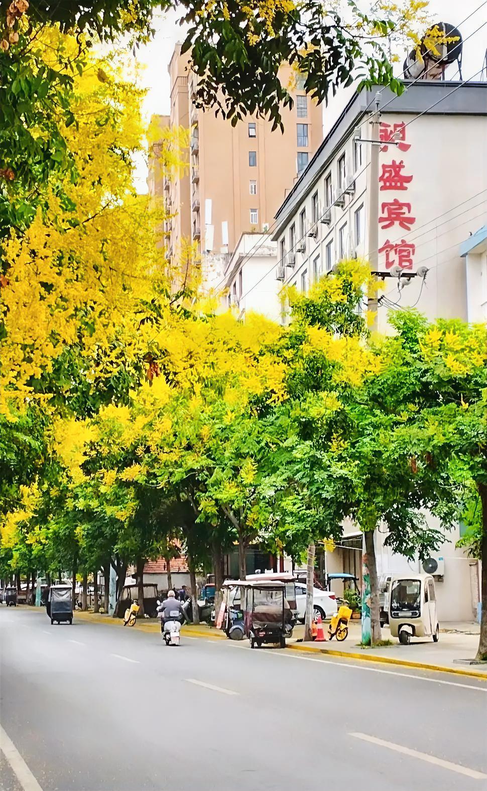 前天上午去沙颖河两岸散步，走到沈丘大闸东路，看到立秋后的两岸美景，拿起手机随手拍