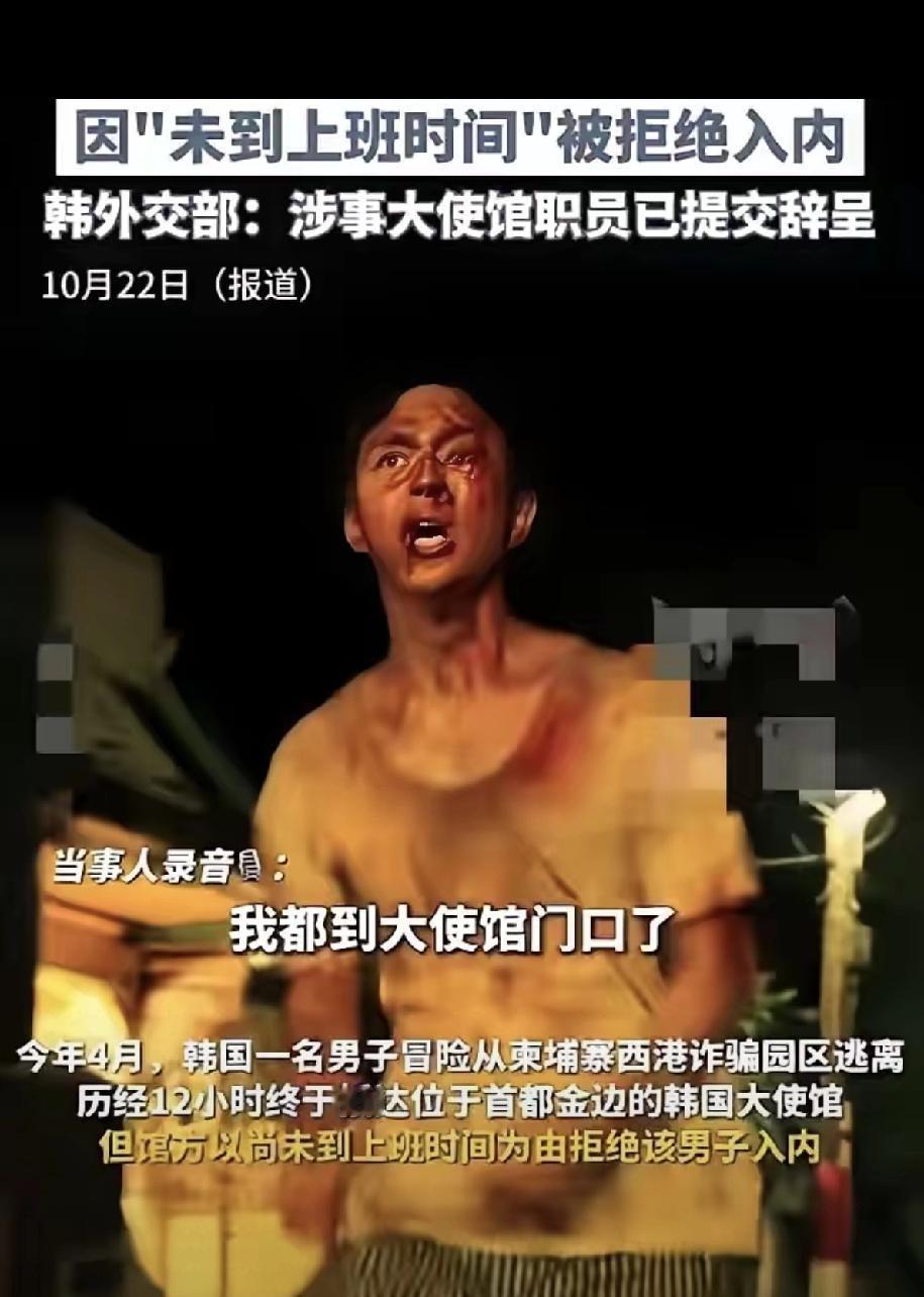 被骗入电诈园，他没有绝望！

铁丝网围着三米高的墙，挨打时咬碎牙往肚里咽。凌晨撬