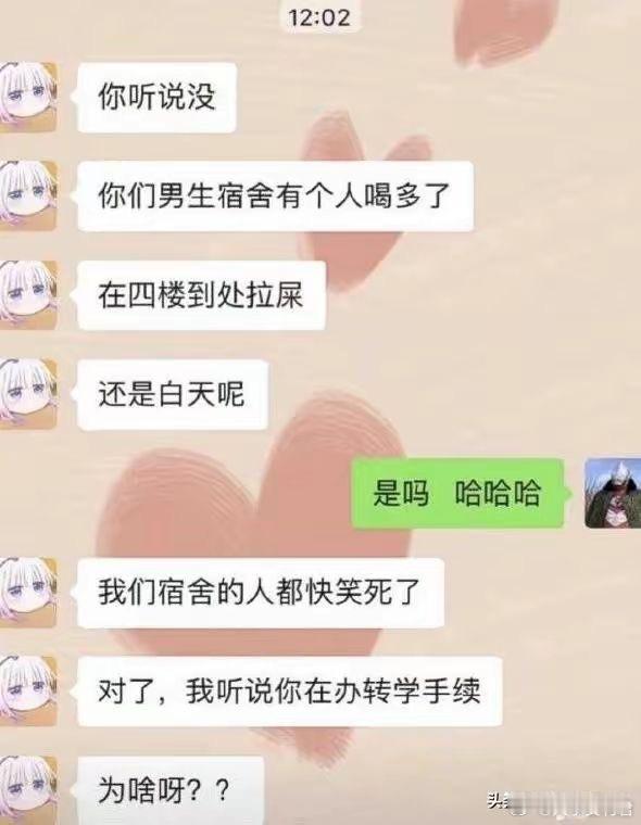 哪壶不开提哪壶 ​​​