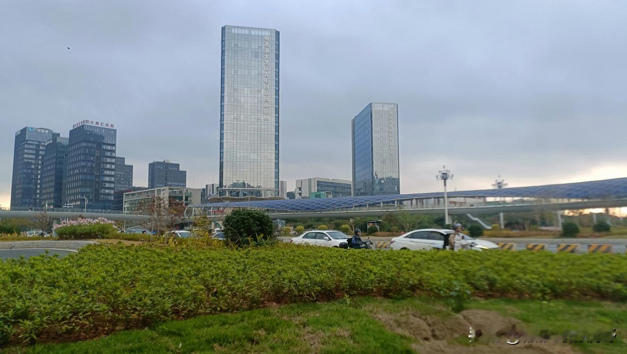 广州东部中心到底能发展成什么样？取决于什么？今天我想谈谈广州东部中心的实际落地问