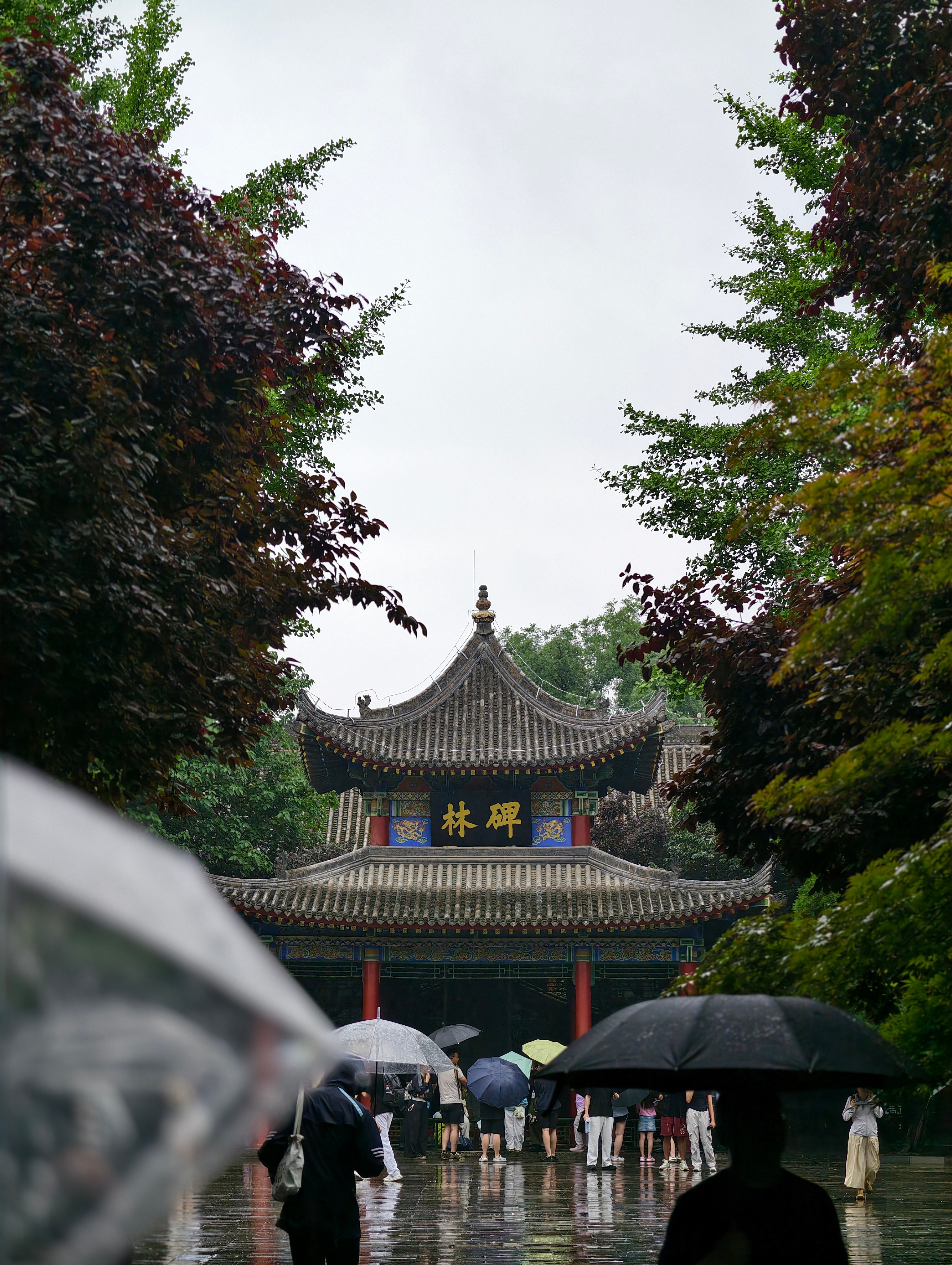 文字之美 