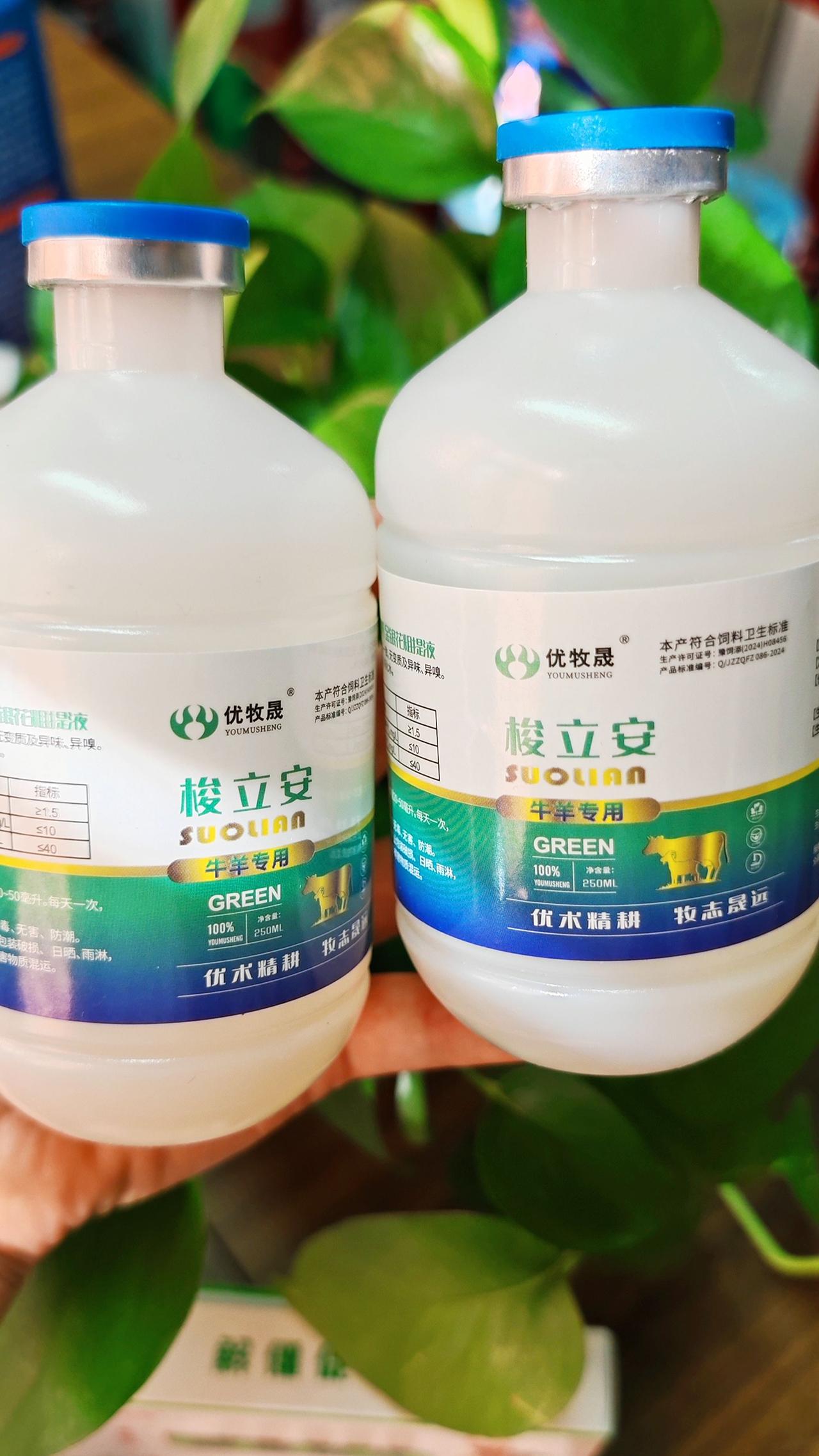 养羊人 农村养羊 牛羊养殖