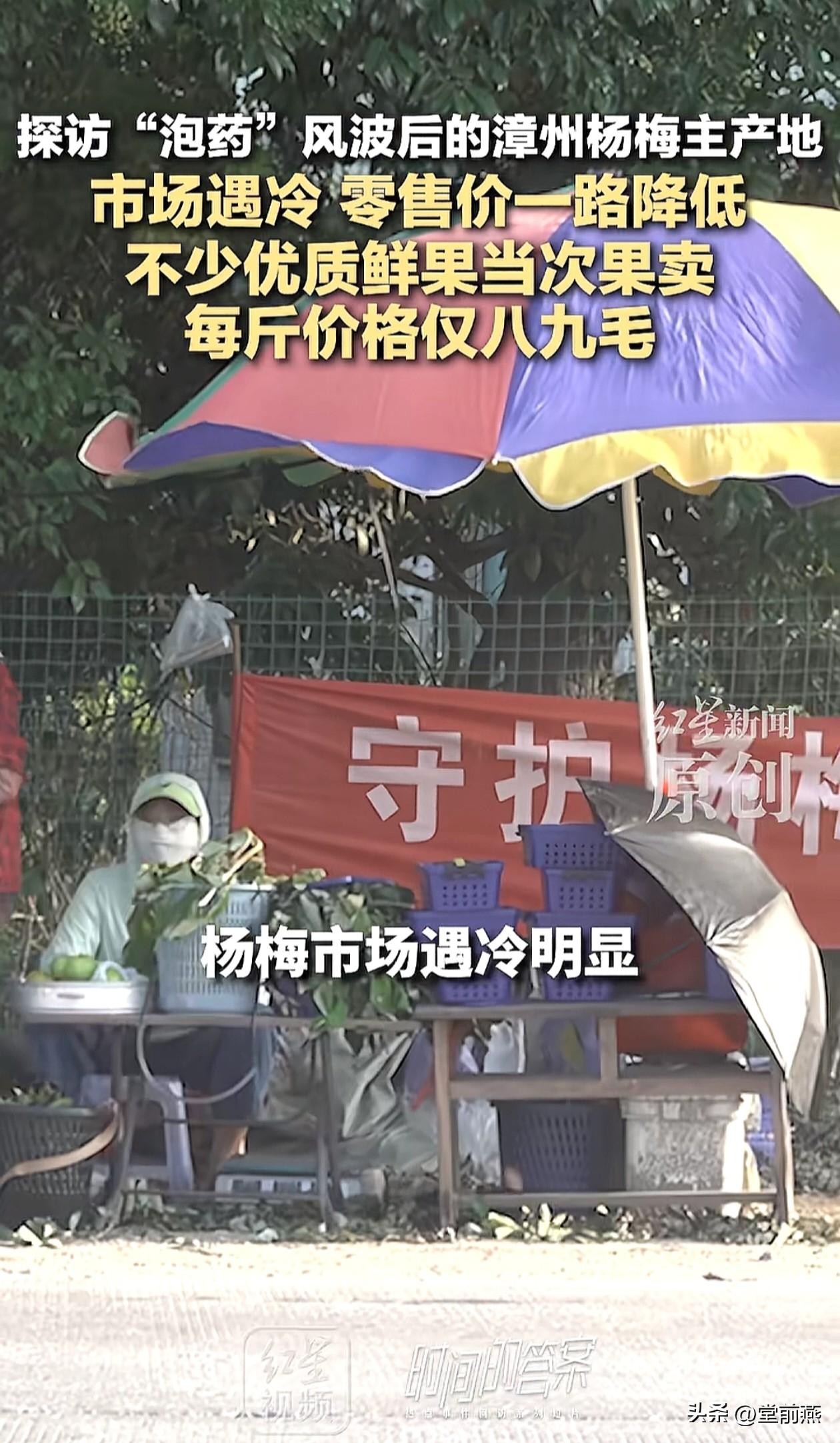 福建漳州的杨梅价格一路下降，已经降到最低8毛钱，比漳州白菜还便宜。

这你敢信，