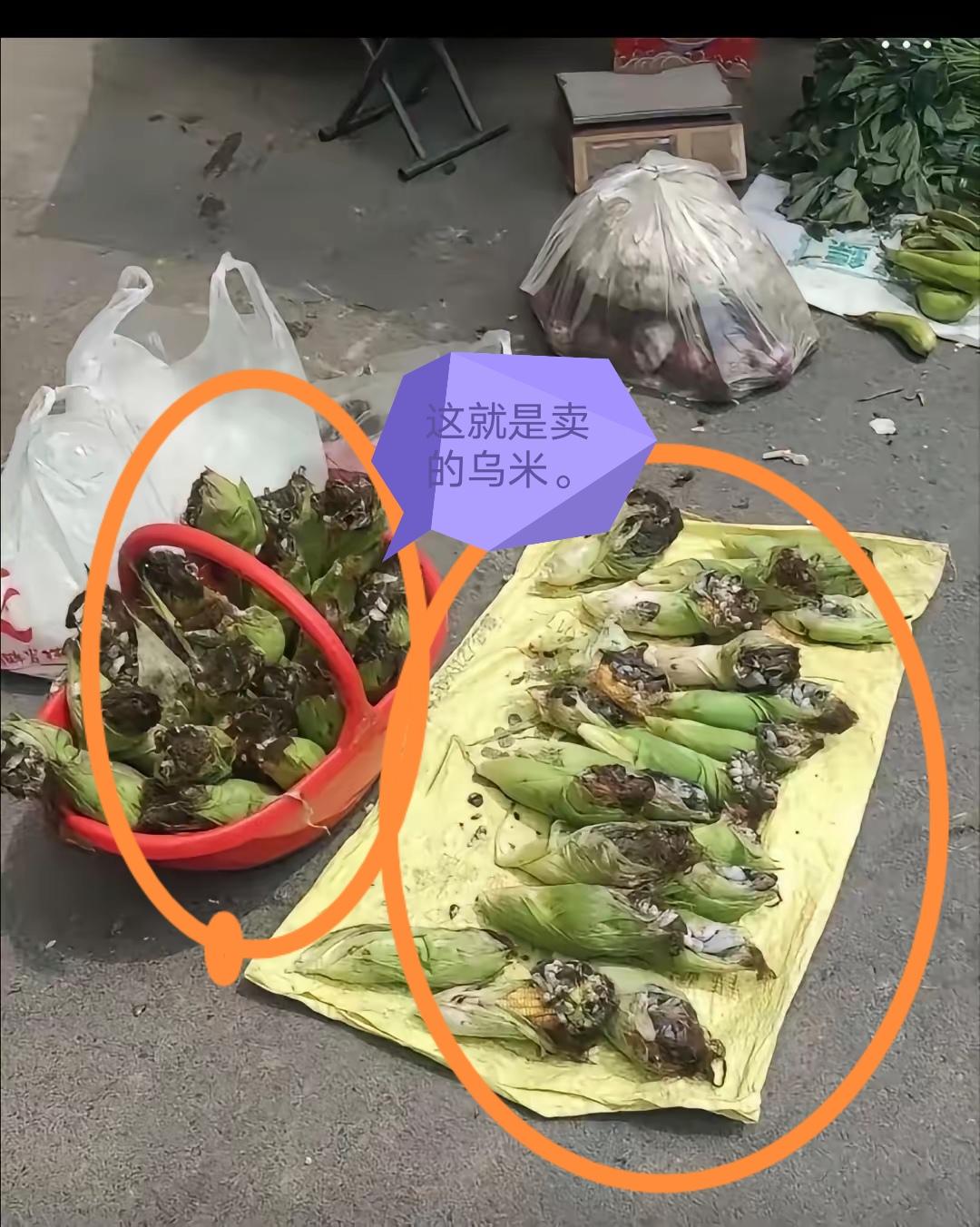 刚刷到一则帖子，说市面上有卖玉米乌米的，还说这东西能吃。我忽然记起小时候，总往玉